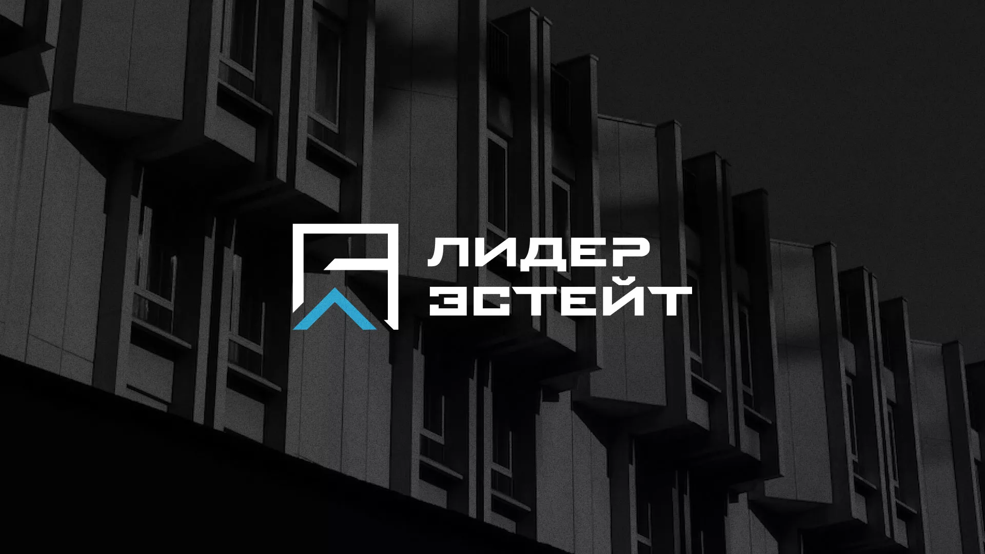 Разработка логотипа агентства недвижимости «Лидер Эстейт» в Навашино